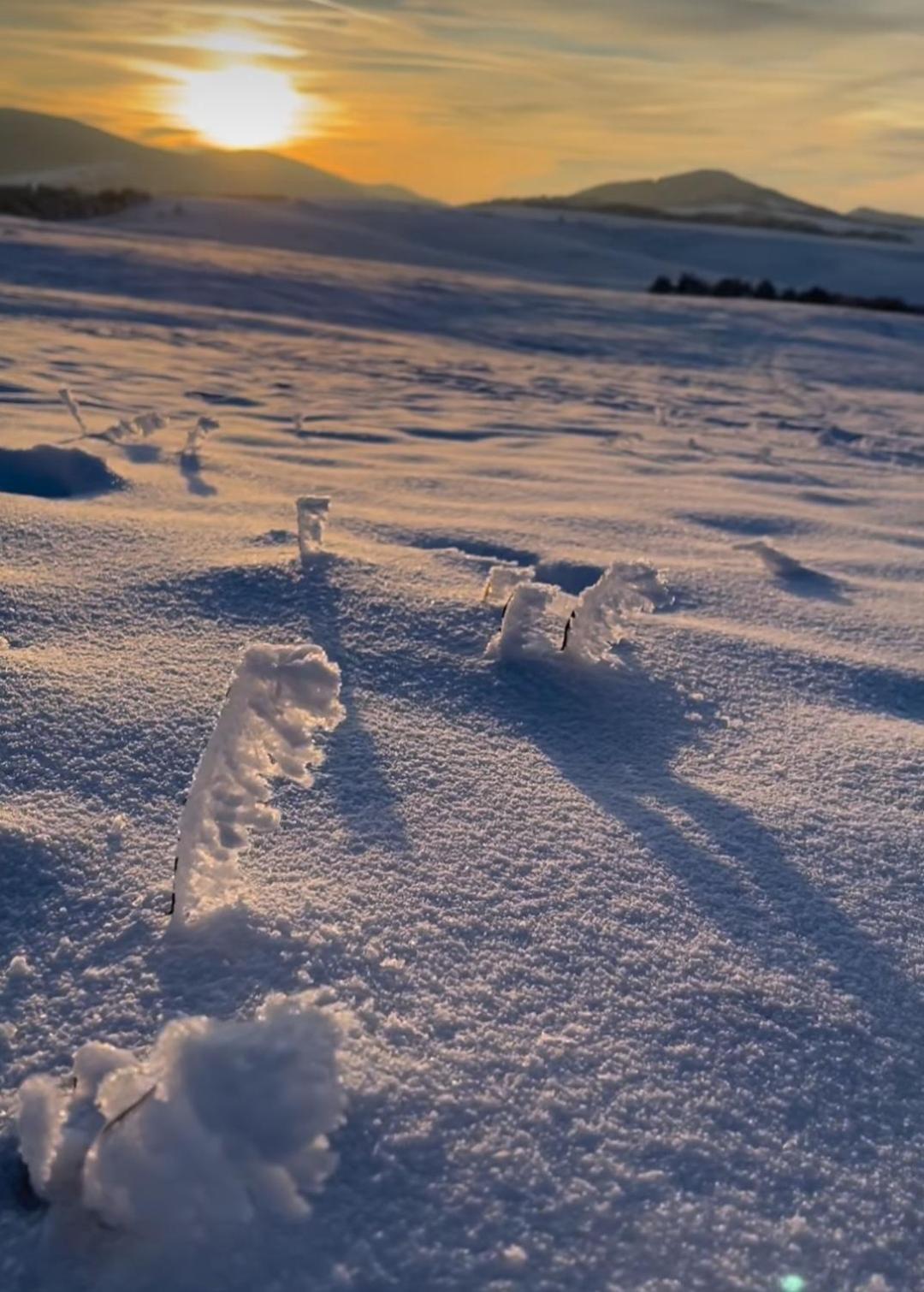 Zlatibor Hills Royal Leilighet Eksteriør bilde